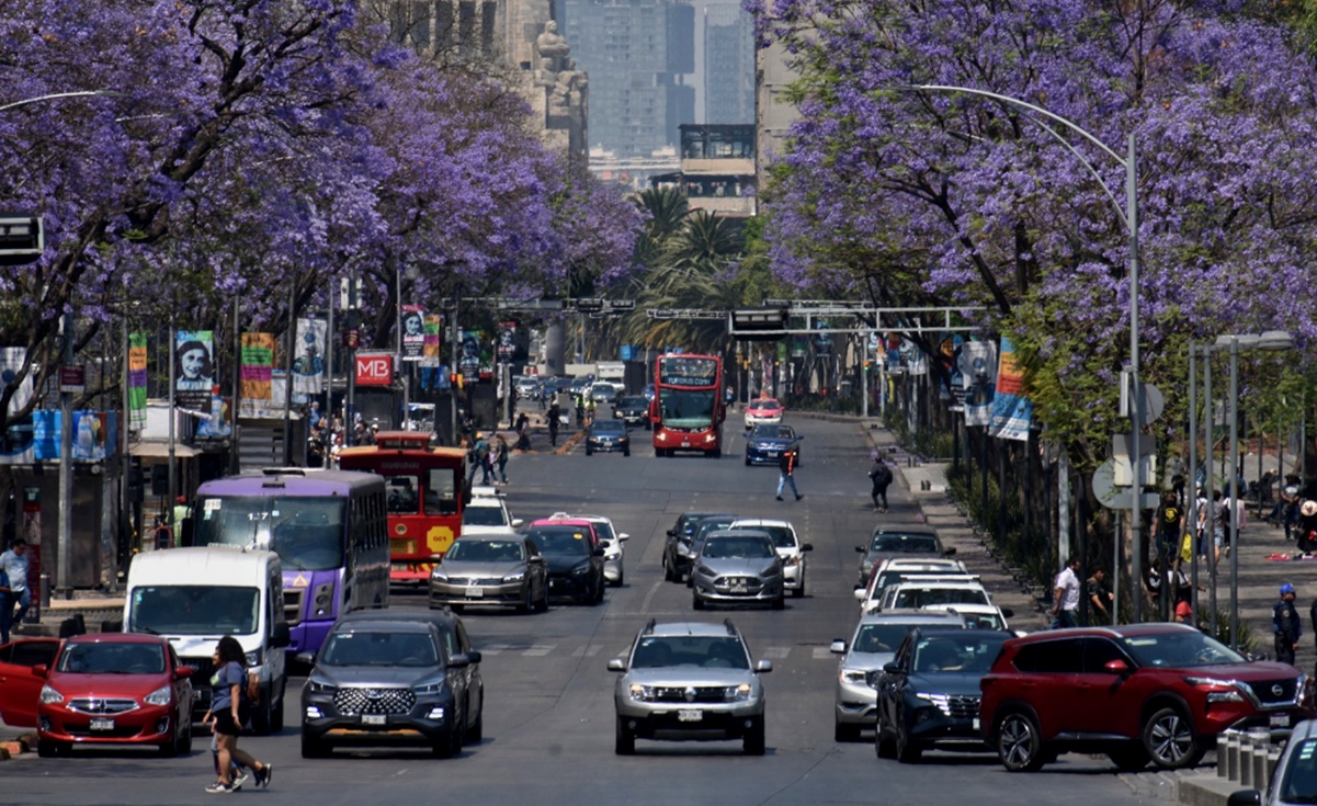 ¡Qué no te sorprendan! Estos son los autos que no circulan este Sábado de Gloria