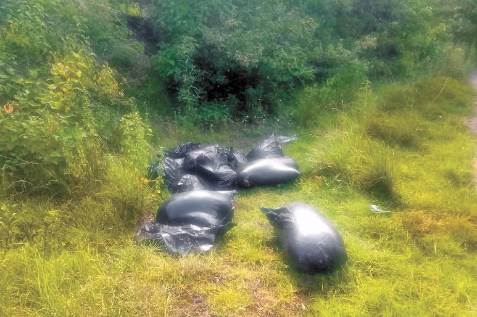 Encuentran 15 bolsas con restos humanos en Veracruz