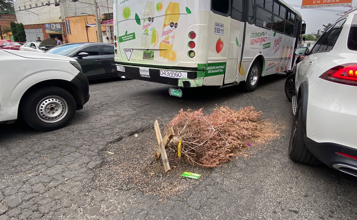 Vecinos de Progreso Atizapán colocan árbol de Navidad para señalar un bache en alcaldía Álvaro Obregón