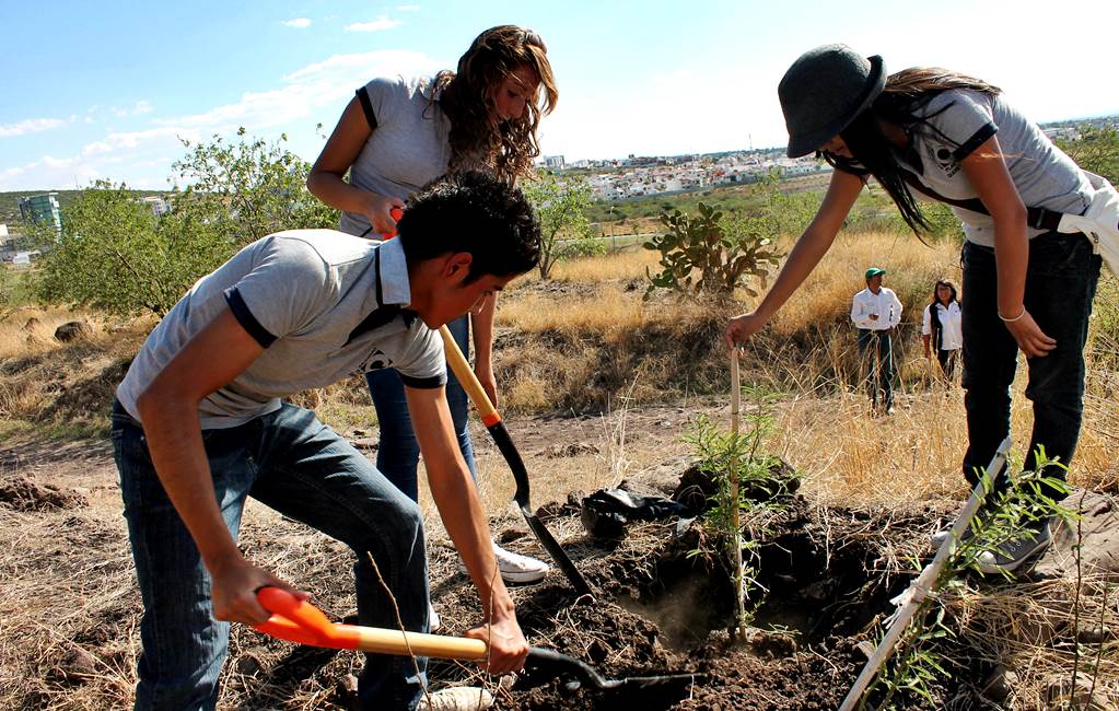 Organizaciones agrarias piden protección del medio ambiente