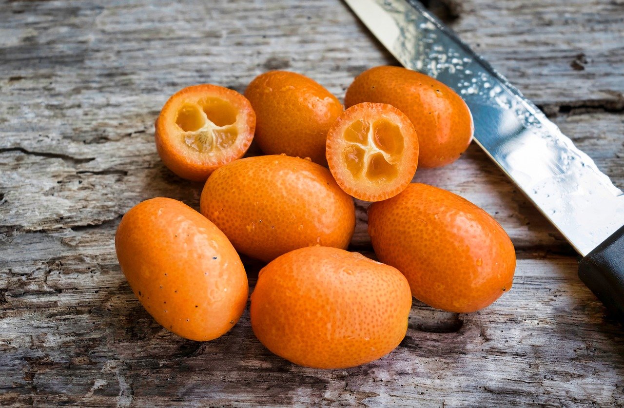 ¿Conoces el kumquat? Descubre este cítrico 