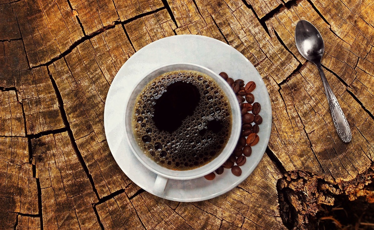 ¿El café es bueno para la memoria? Experta de Harvard lo explica
