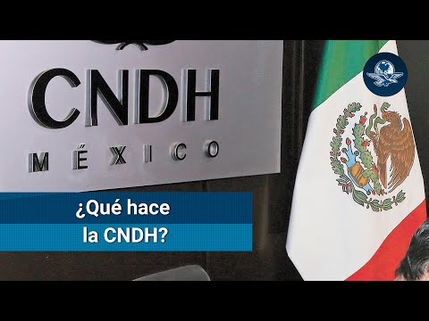 ¿Qué es y qué funciones realiza la CNDH?