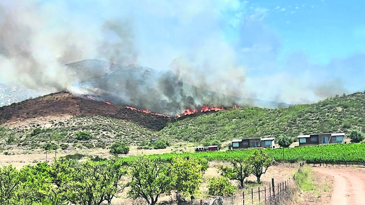  Más de 800 hectáreas, afectadas por incendios