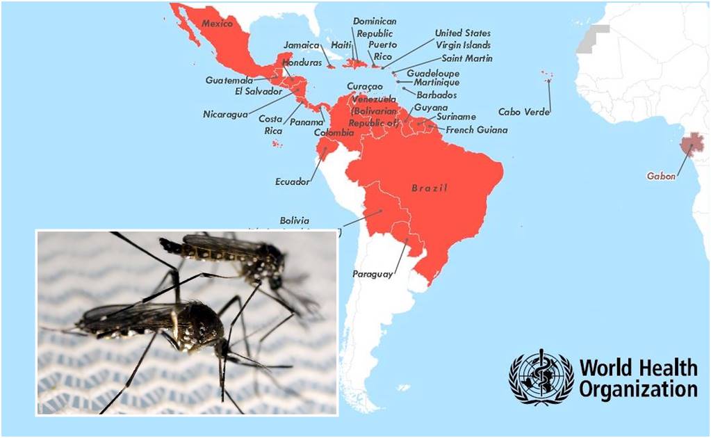 OMS reporta 33 países con casos autóctonos de zika