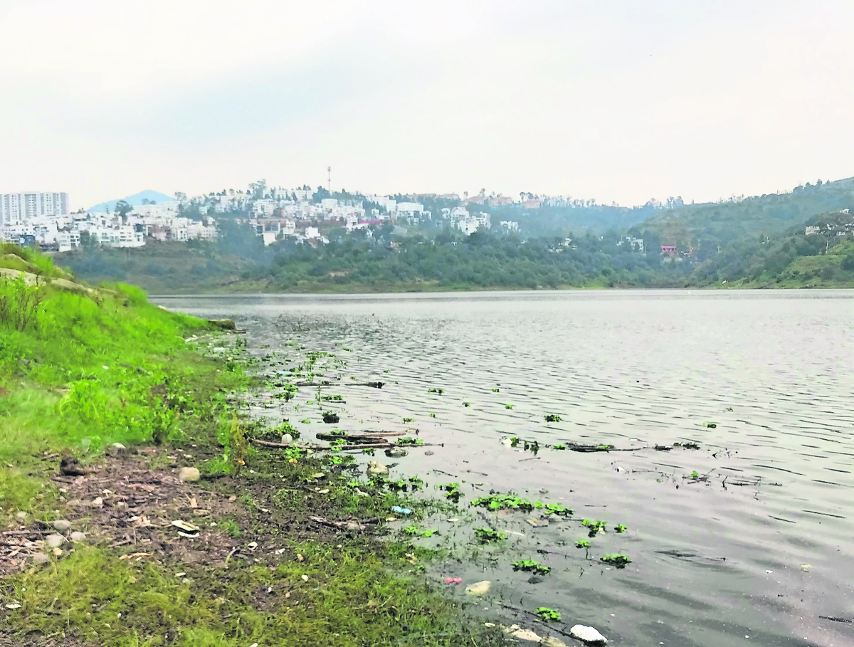 Presa Madín, en riesgo por contaminación, advierten