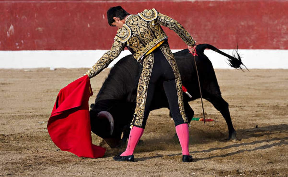 maltrato animal | El Universal