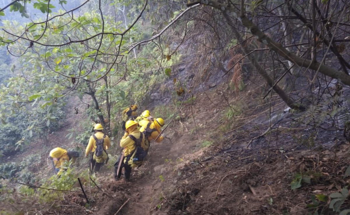 Puebla, quinto lugar nacional en incendios forestales; suman 300 siniestros