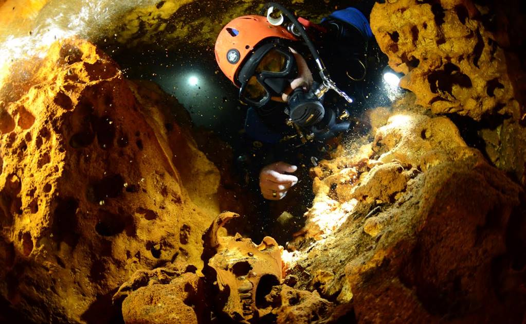 Hallan restos de osos de la Edad de Hielo en cueva de Quintana Roo