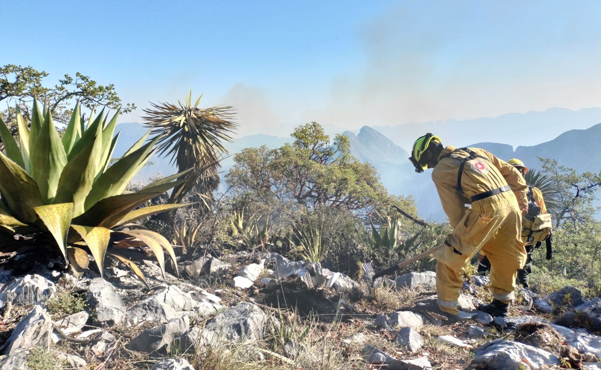 Sube a 830 hectáreas consumidas por tres incendios forestales en Nuevo León