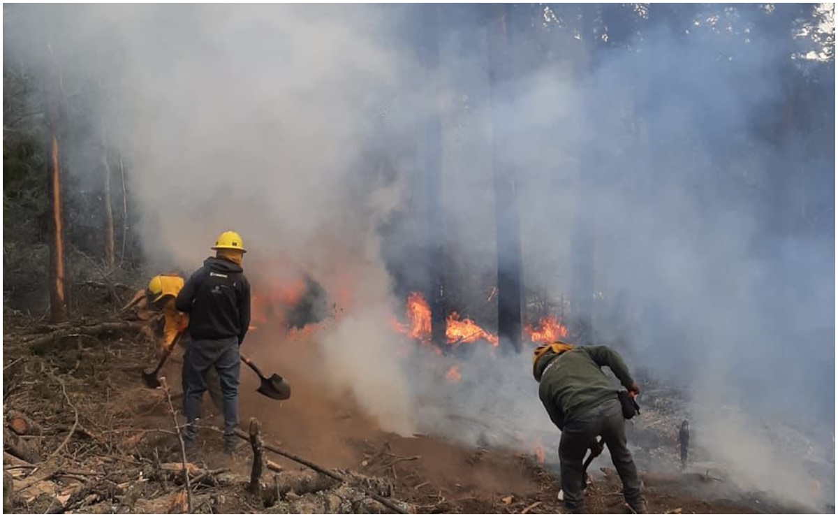 Controlan en 75% incendio forestal en Parque Nacional Izta-Popo en Amecameca