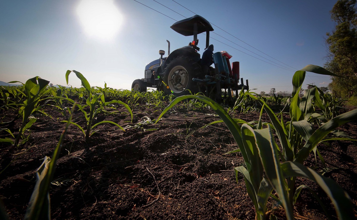 Ven menor presupuesto para sector agropecuario en 2022; no será prioridad, dicen