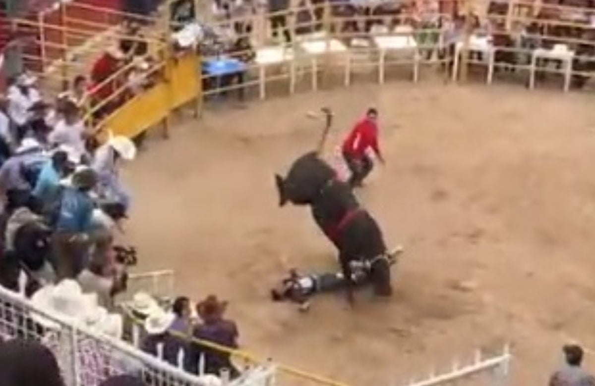 “¡Paramédicos, urgente!”: Toro pisa en repetidas ocasiones a jinete en la Plaza de Toros de Morelia