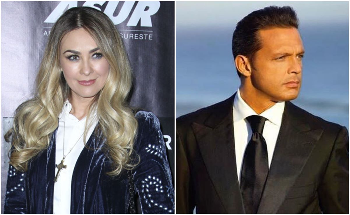 Lo que falta para que Aracely Arámbula disponga del dinero que le pagó Luis  Miguel