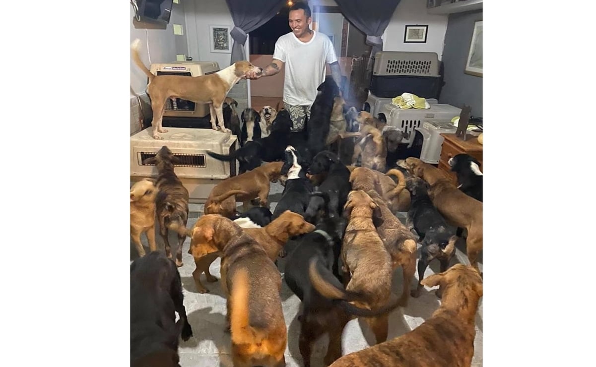 Hombre resguarda a 300 perros callejeros en su casa por huracán "Delta"