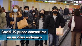 Coronavirus podría convertirse en un virus endémico y no irse nunca: OMS