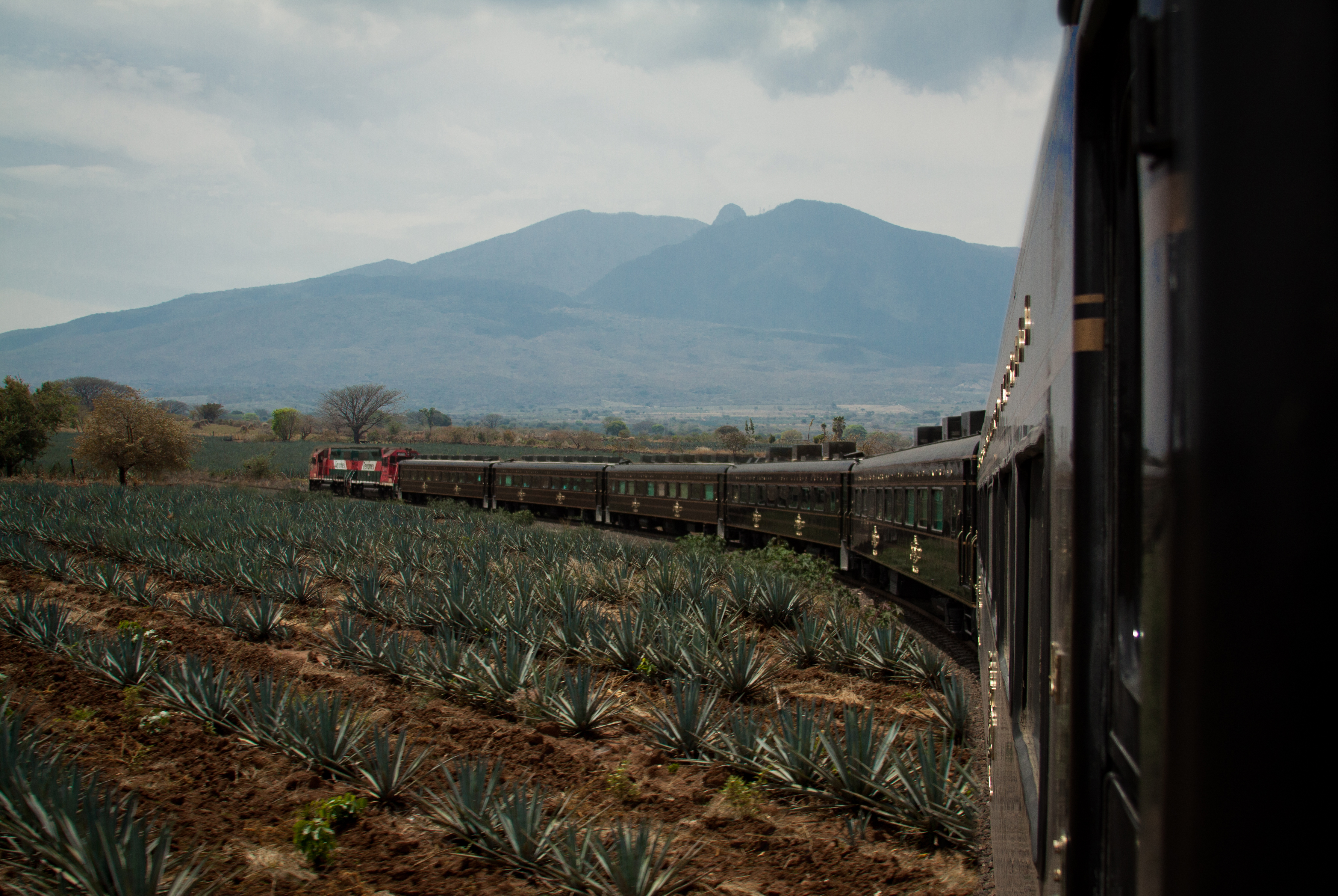 Festeja el 15 de septiembre a bordo de un tren