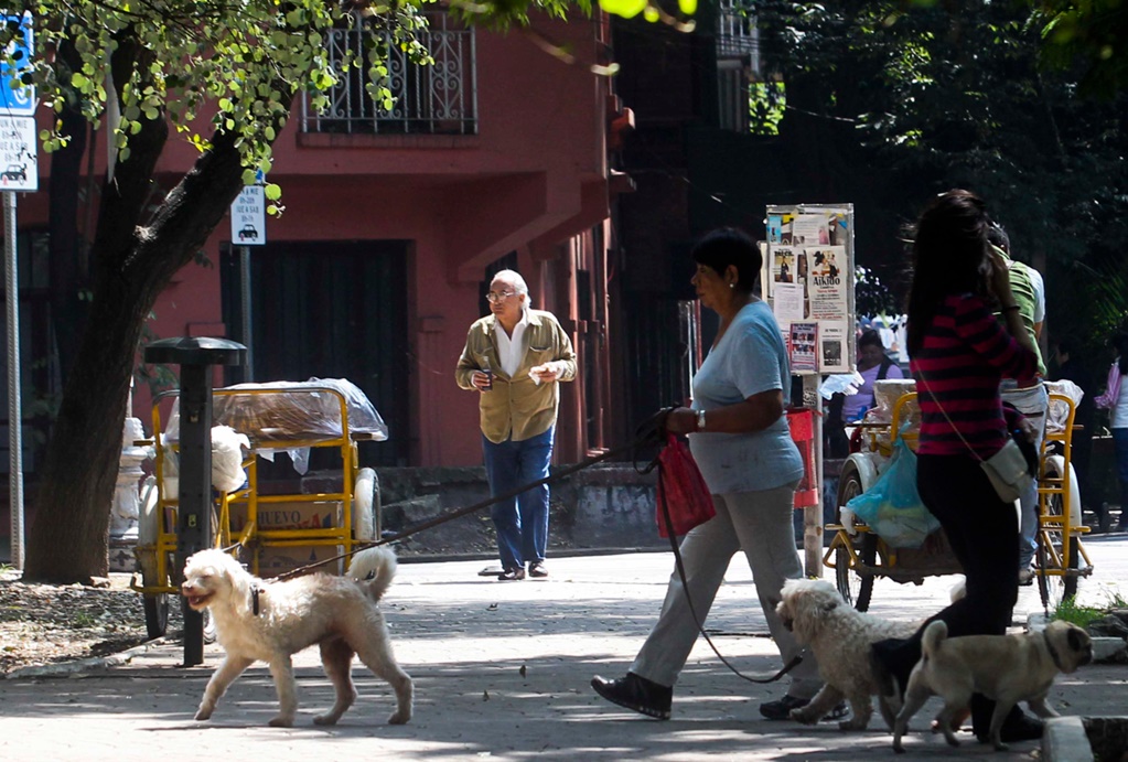 Con acta de identidad, PAN en Congreso Edomex busca garantizar derechos de animales