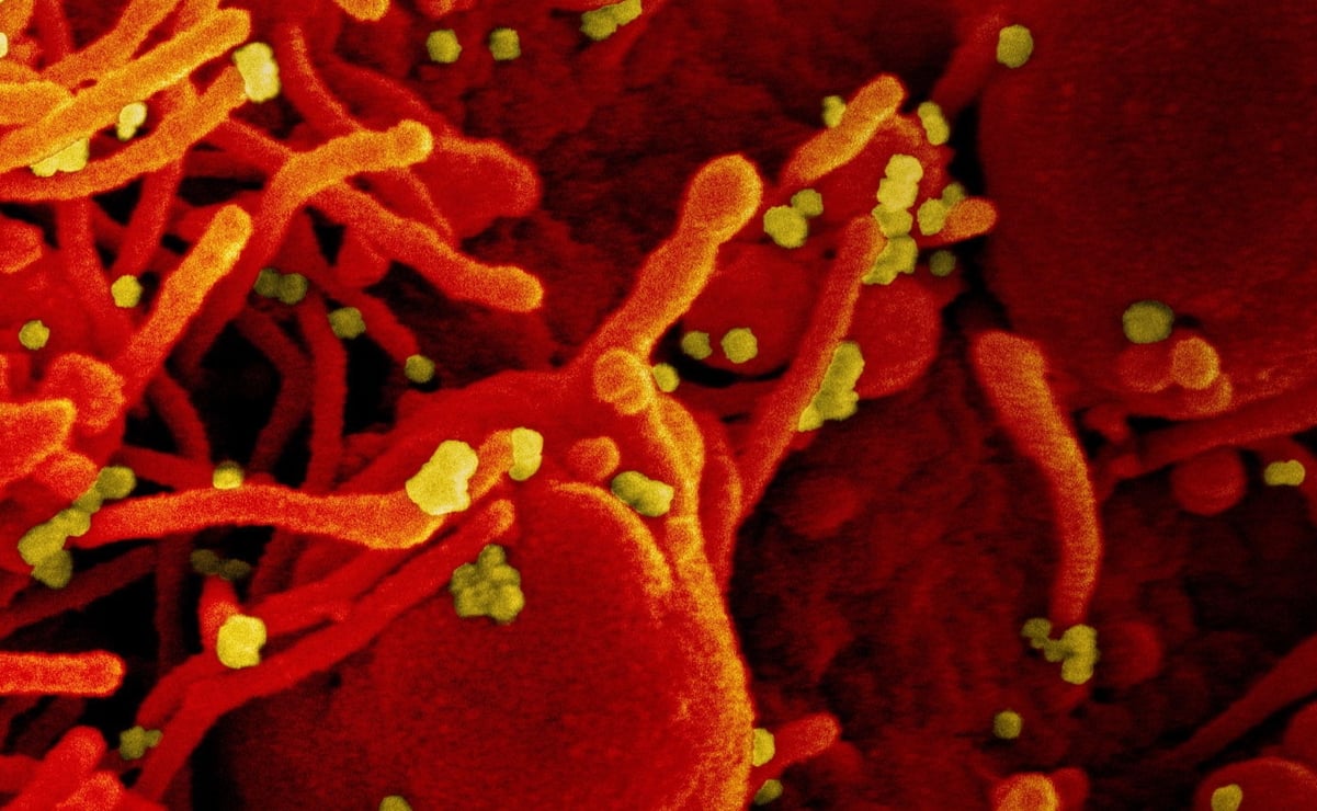 Covid-19: Gangrena y otros síntomas raros del coronavirus, según expertos