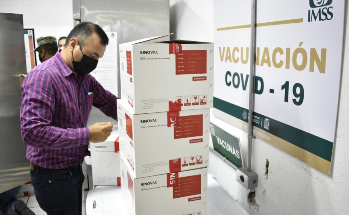 Llegan a Sinaloa dosis de Sinovac para vacunación de mayores de 18 años 
