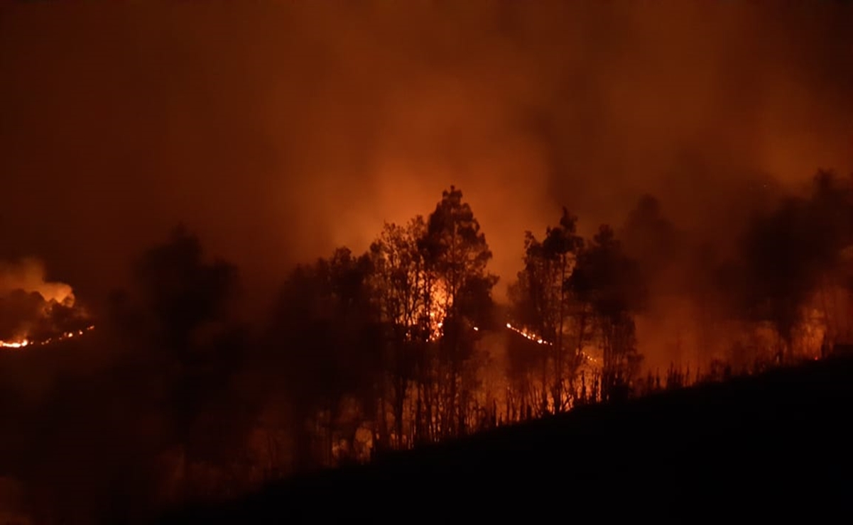 En una semana, México reporta 394 nuevos incendios forestales