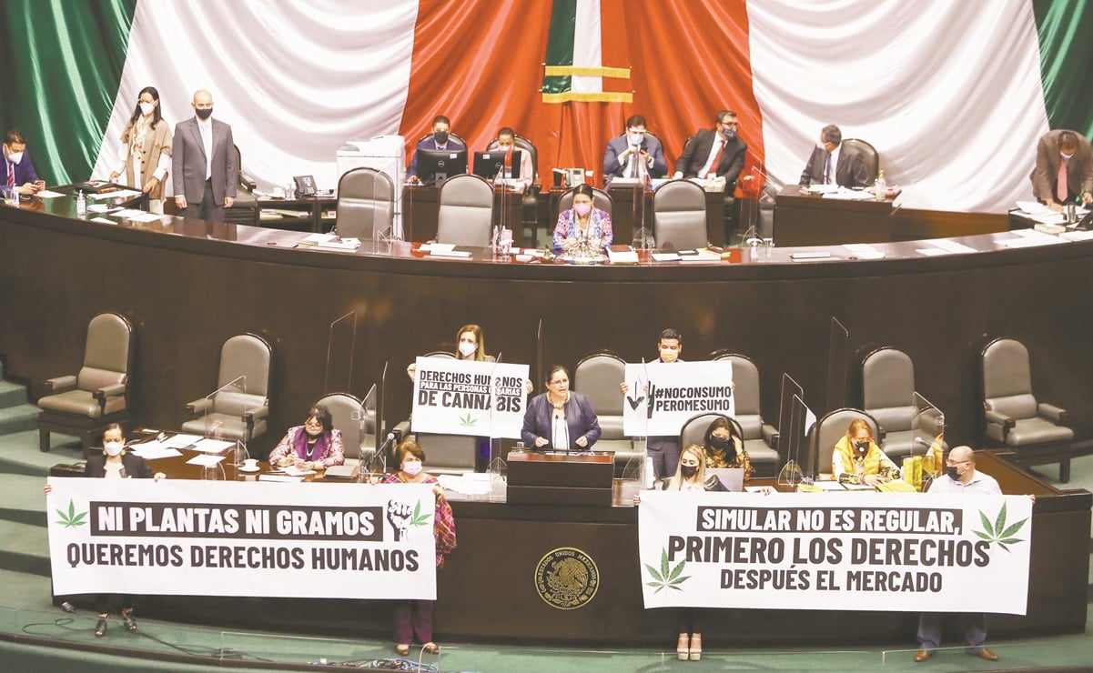 Diputados aprueban uso lúdico de la marihuana