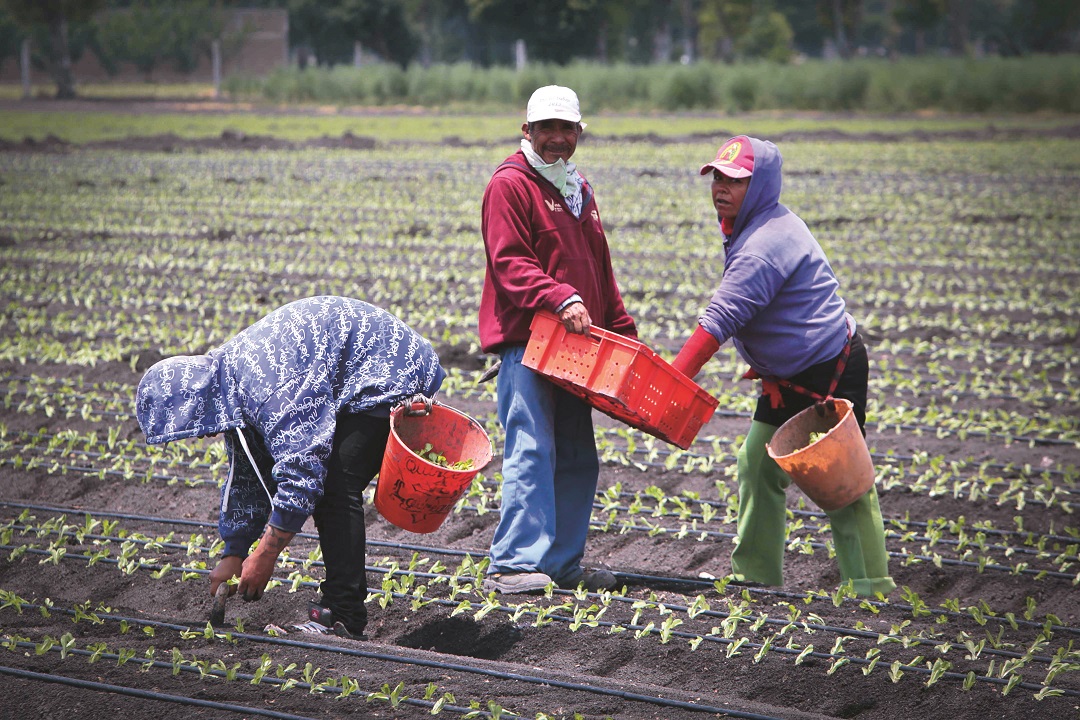 Entregan apoyos a campesinos