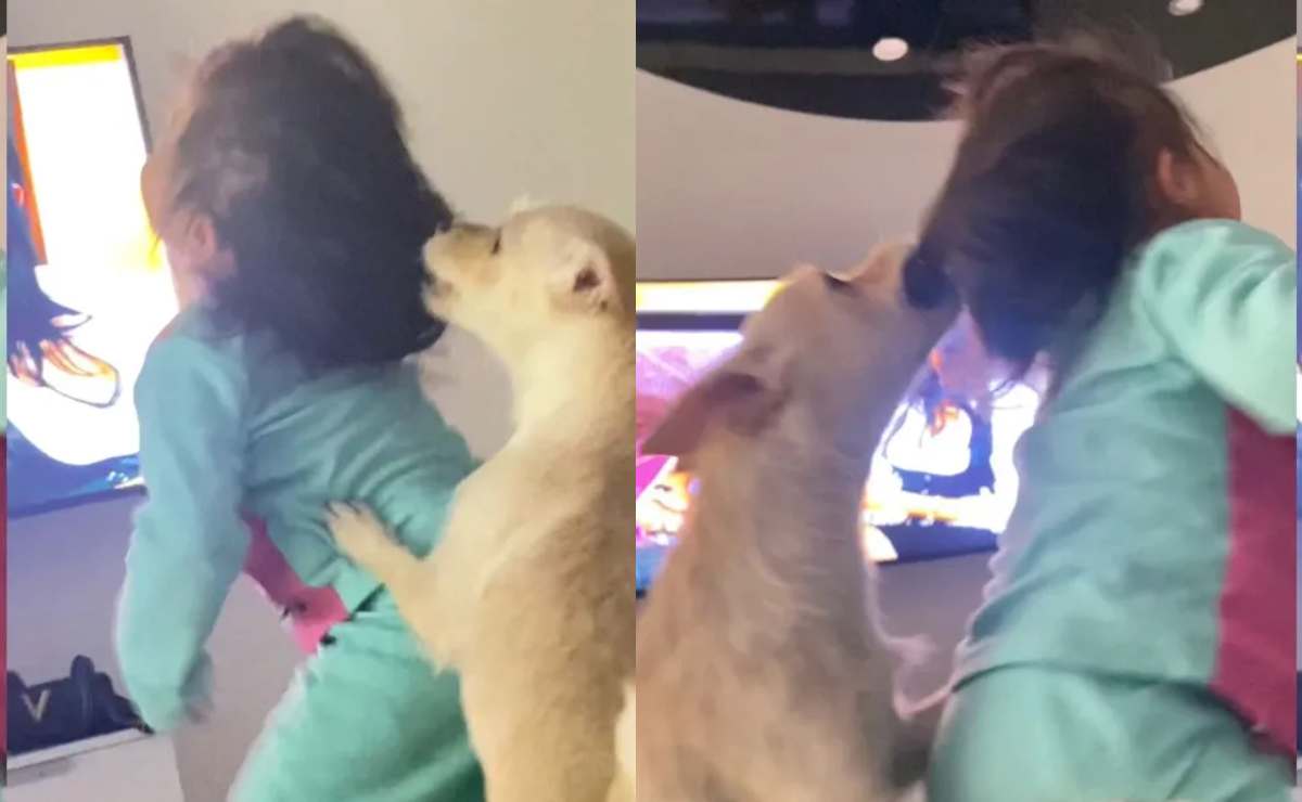 Madre graba a su hija mientras es atacada por perro; tiktokers la critican 