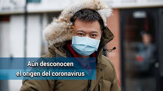 Coronavirus podría haber escapado de laboratorio, dice Científico español