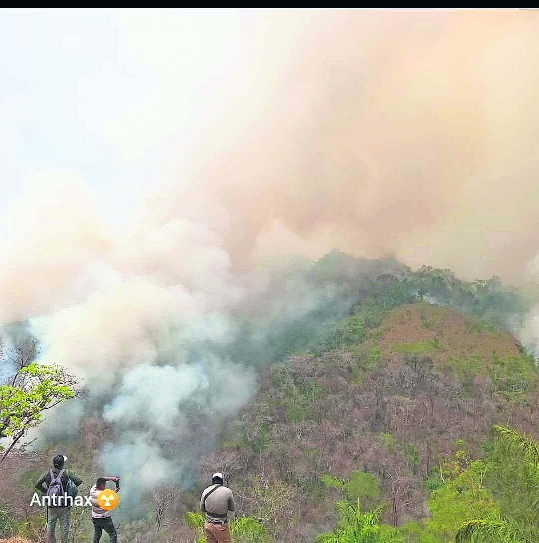 Piden ayuda a otros países para salvar bosques del fuego