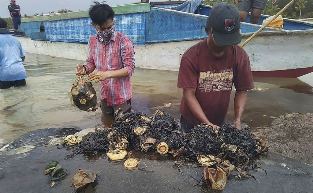 Ballena muere en Indonesia; tenía 6 kilos de plástico en el estómago