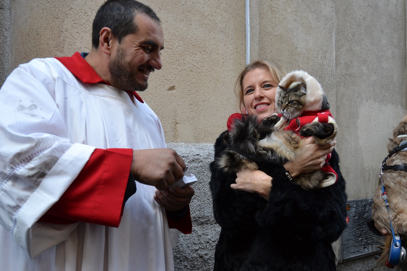 San Antón, un festejo con conciencia