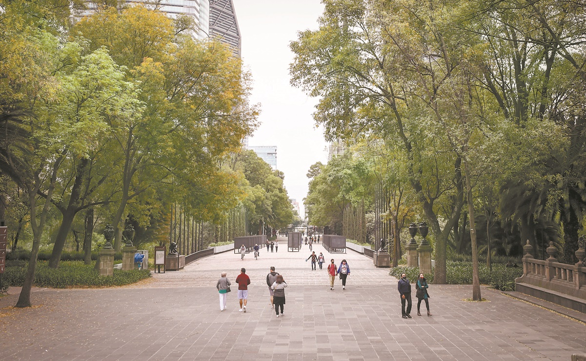 El Proyecto Chapultepec avanza, pero en simulación