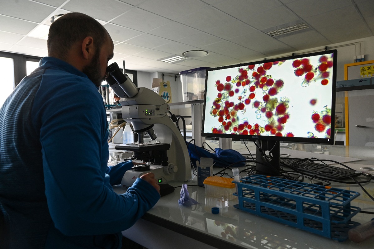 Interleucina-6: ¿Cómo funciona el nuevo tratamiento contra Covid que recomienda la OMS?