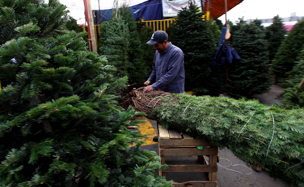 Natural vs. artificial Christmas tree: Which one is better?