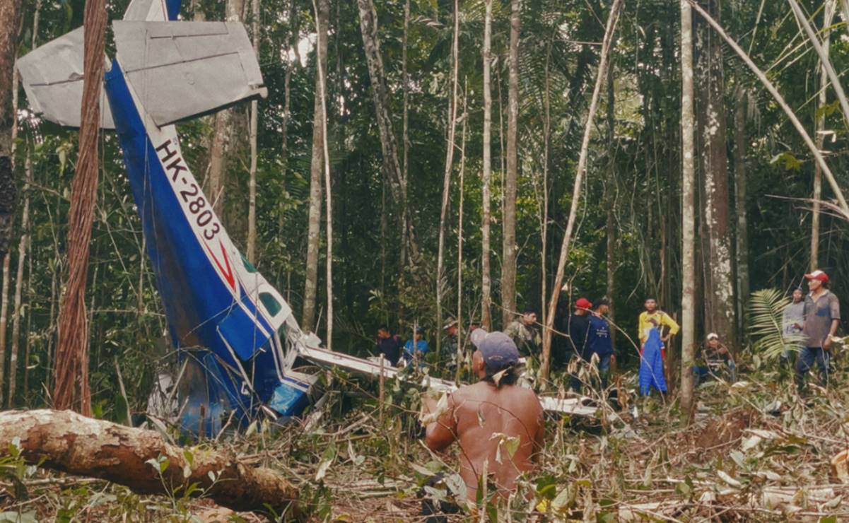 "Perdidos en el Amazonas": la historia de tres niños y un bebé, que sobrevivieron 40 días en la naturaleza