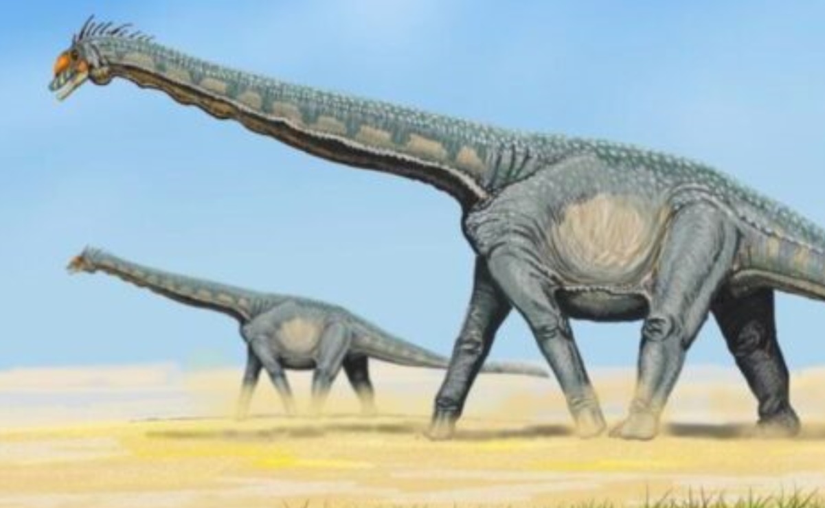 Encuentran fósiles de un nuevo titanosaurio en China
