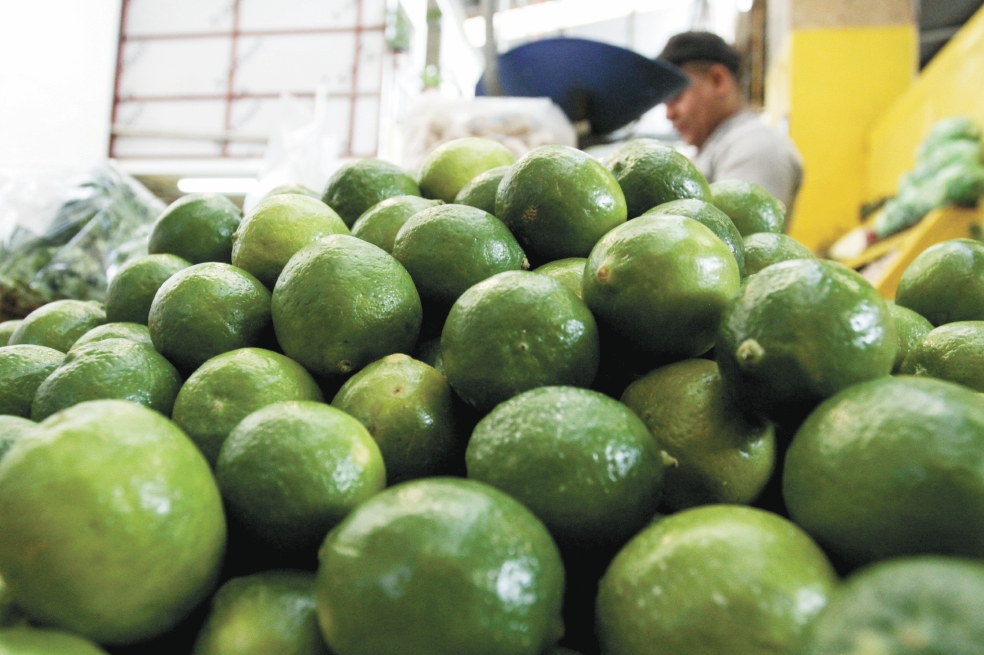 Conflicto con productores y clima mantendrán al limón en 50 pesos, prevén