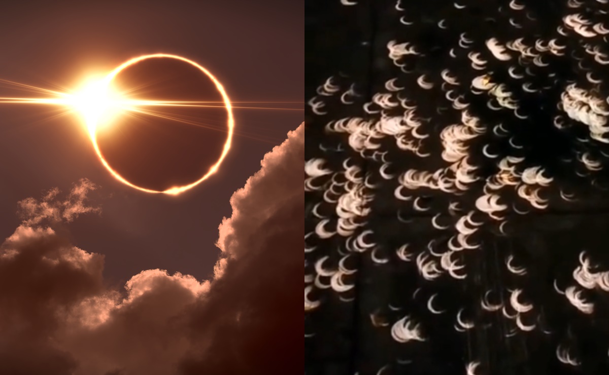 Eclipse total de Sol. ¿Qué es el efecto Pinhole y cómo ver el ‘anillo de fuego’ en la sombra de los árboles?