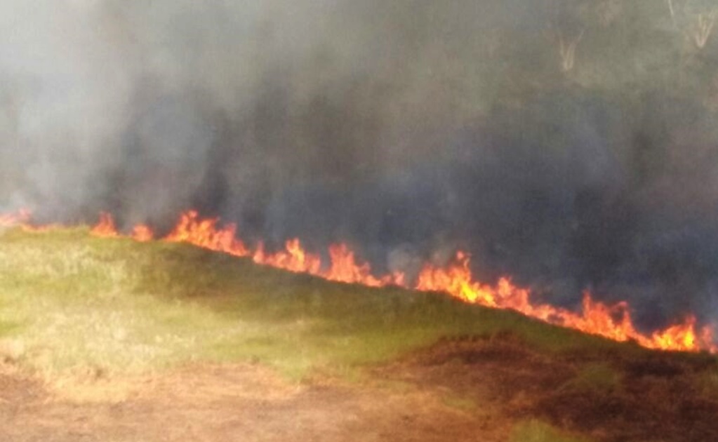 Se reaviva incendio que ya consumió 100 hectáreas en Yucatán