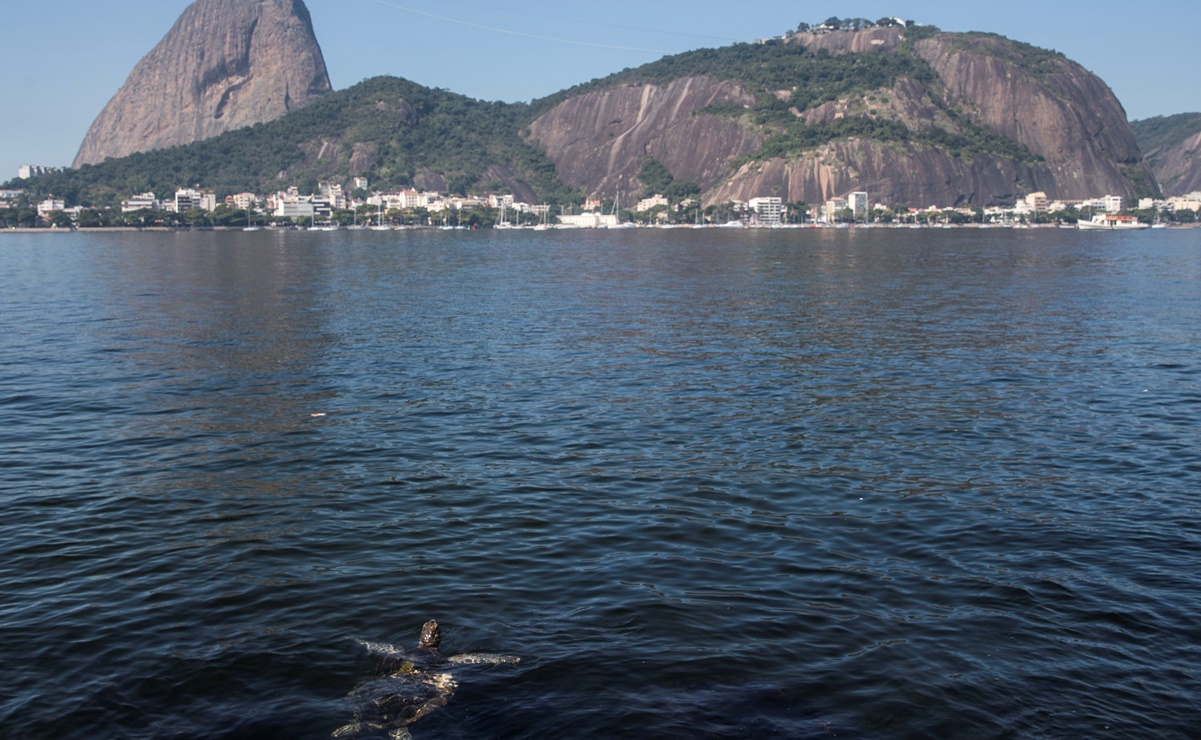 Cuarentena por Covid-19 descontamina aguas de icónica bahía en Brasil