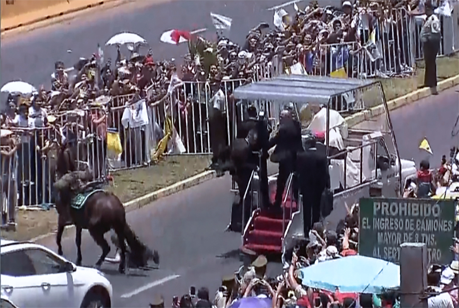 Video. Policía cae de su caballo y Francisco baja del Papamóvil para ayudarla