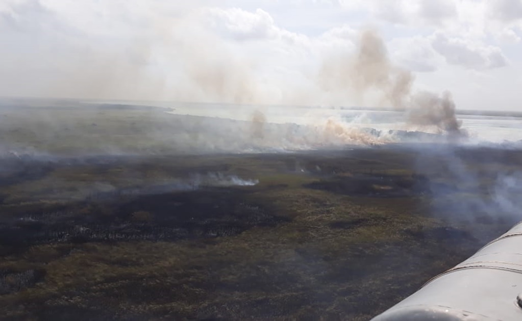 Incendios en Sian Ka'an afectan también a la fauna silvestre: Conanp