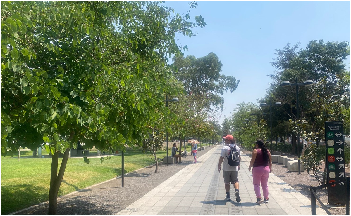 Declaran áreas de valor ambiental a 6 parques ubicados en distintas alcaldías de la CDMX