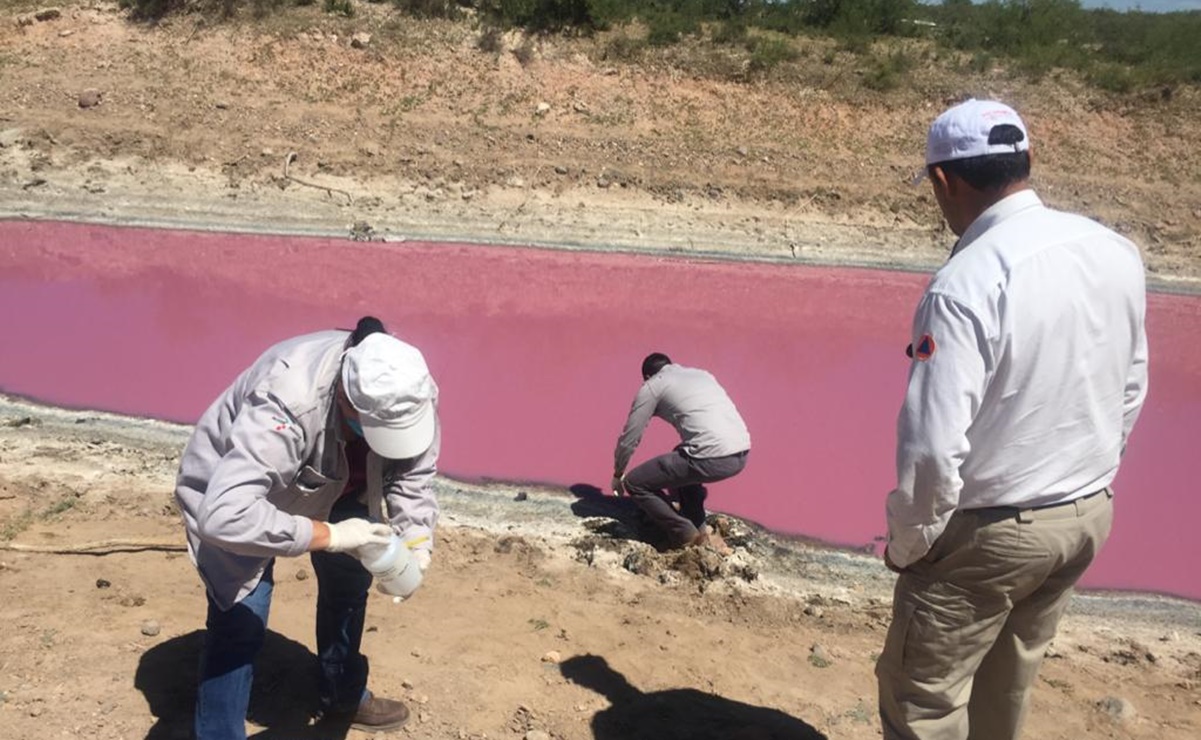 Laguna se pinta de rosa en Zacatecas; Conagua investiga causas
