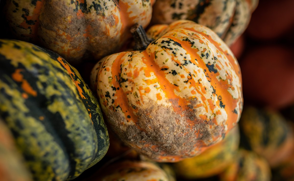 Esta es la alacena de otoño para mantenernos saludables