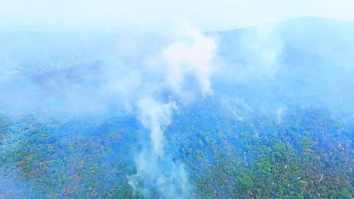 Suman 24 incendios forestales activos en toda la entidad