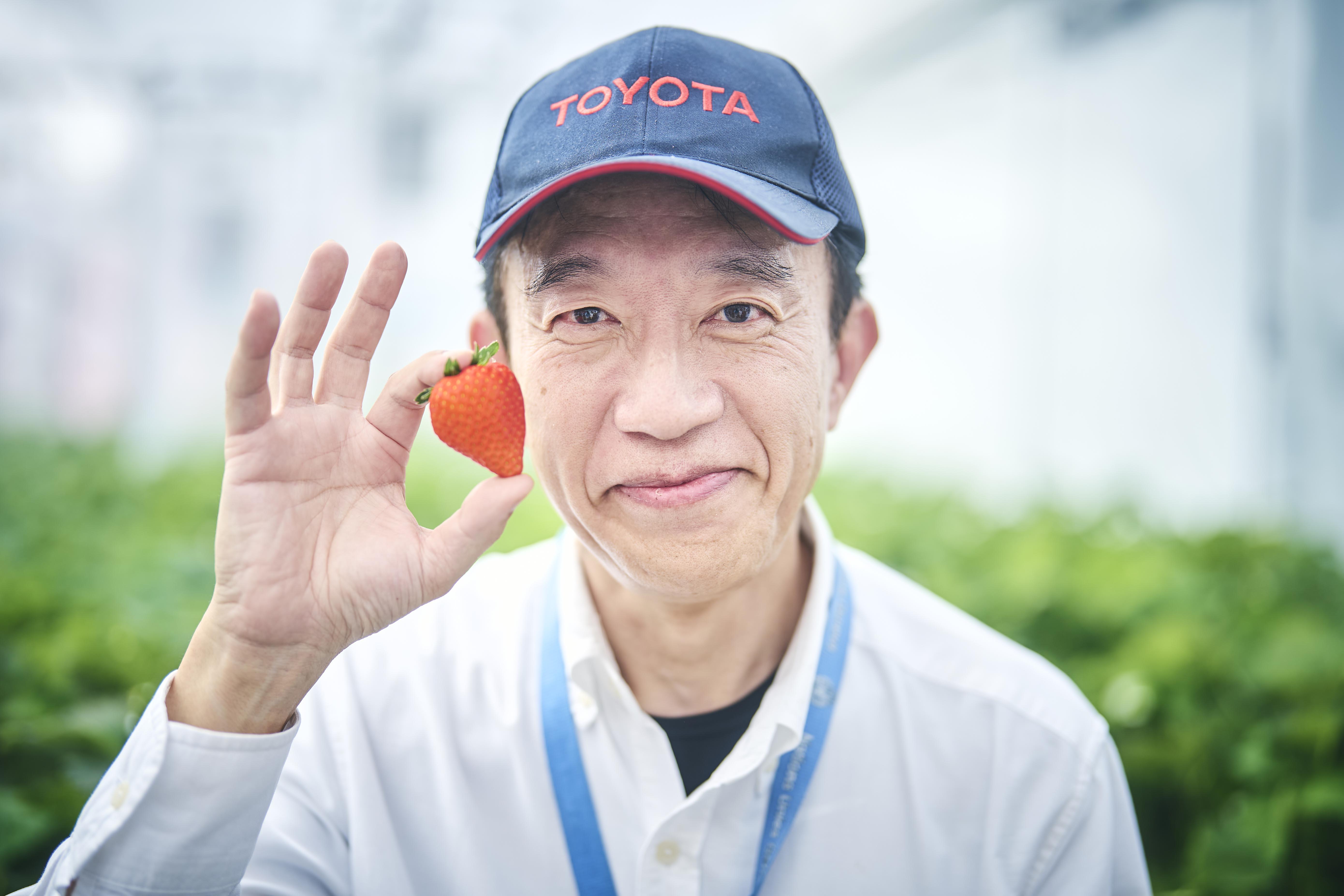 Además de autos, Toyota también cultiva frutas y verduras