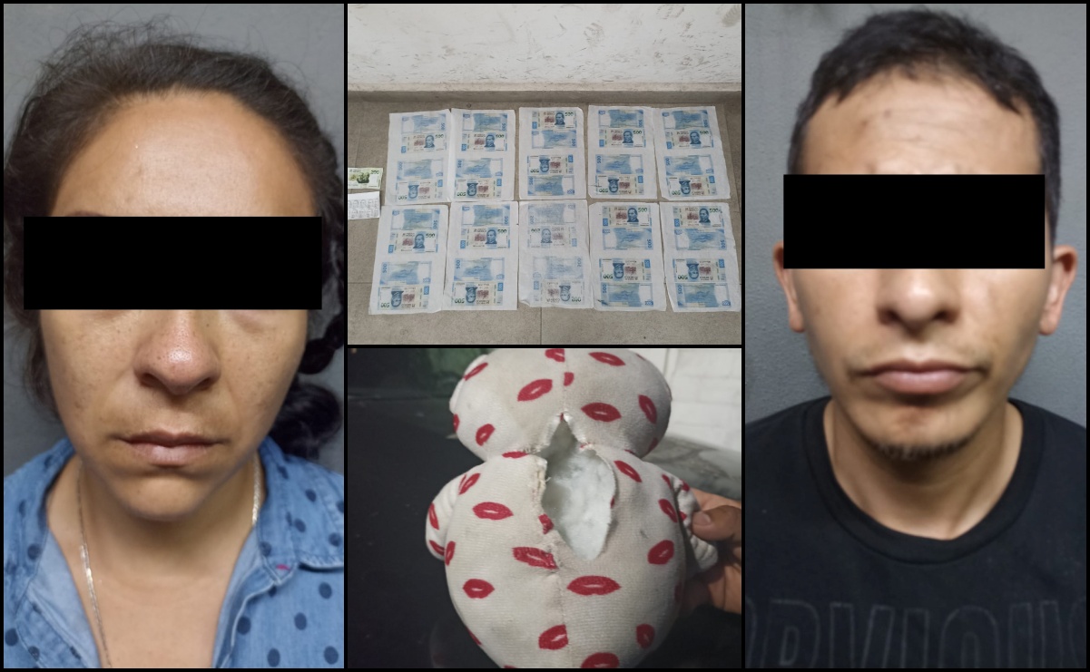 Cae pareja con billetes falsos de 500 pesos escondidos en osito de peluche en Nuevo León