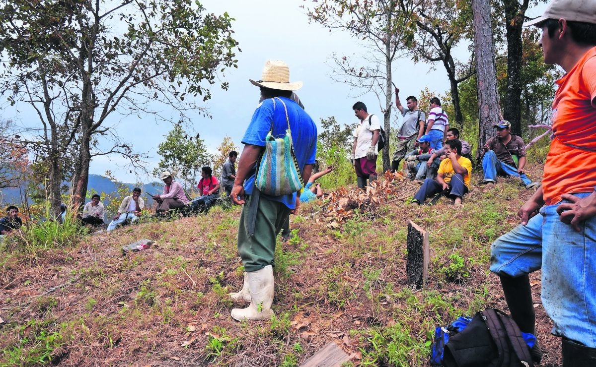 Chimalapas, cuando la paz no implica la conciliación